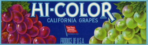 Hi Color