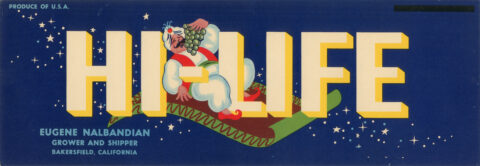 Hi-Life-2
