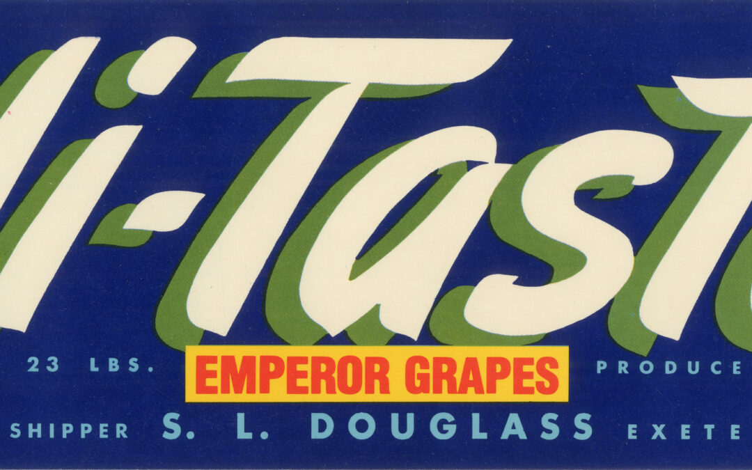 Hi-Taste