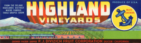 Highland Vineyards-2