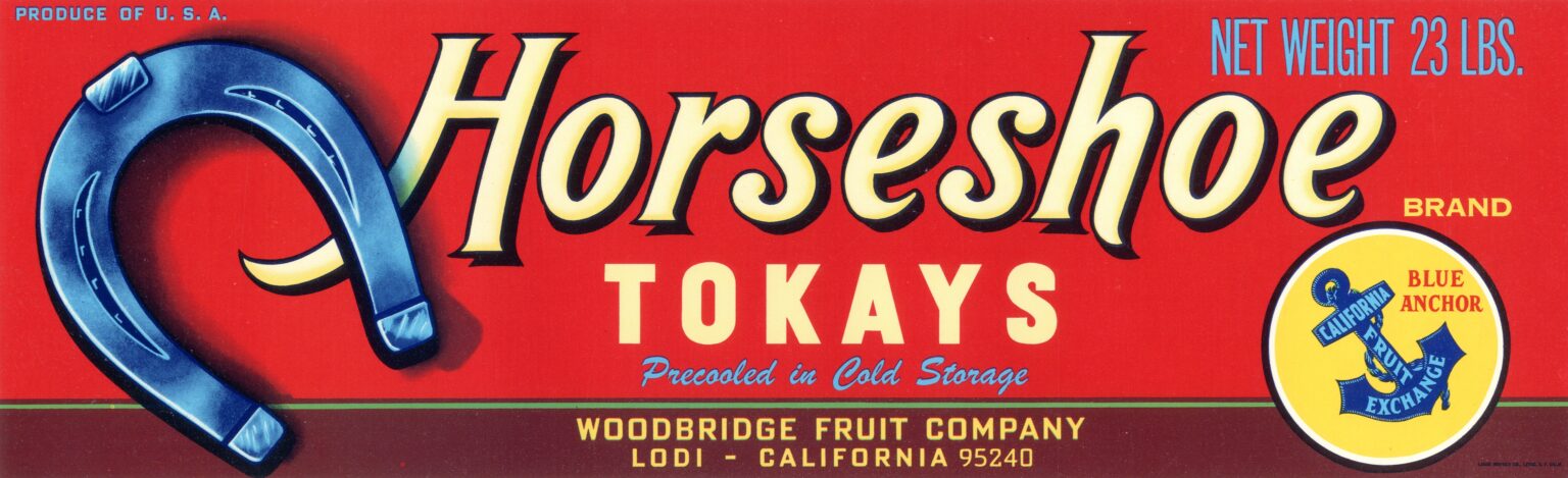Horseshoe