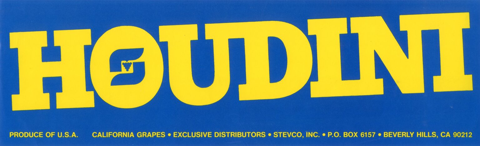 Houdini