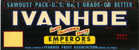 Ivanhoe