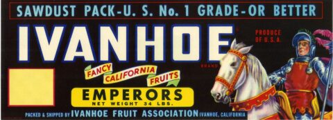 Ivanhoe