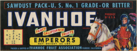 Ivanhoe-4