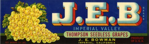 J.E.B.