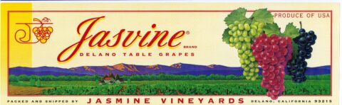 Jasvine