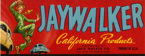 Jaywalker