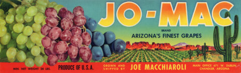 Jo Mac