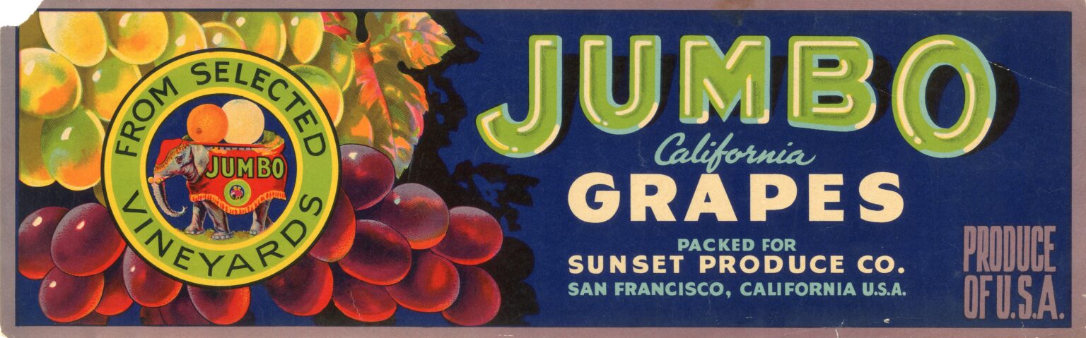 Jumbo