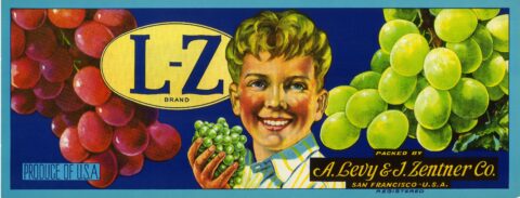 L Z