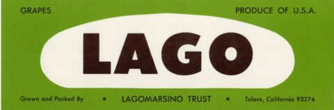 Lago