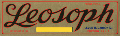 Leosoph