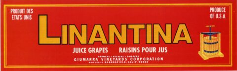 Linantina