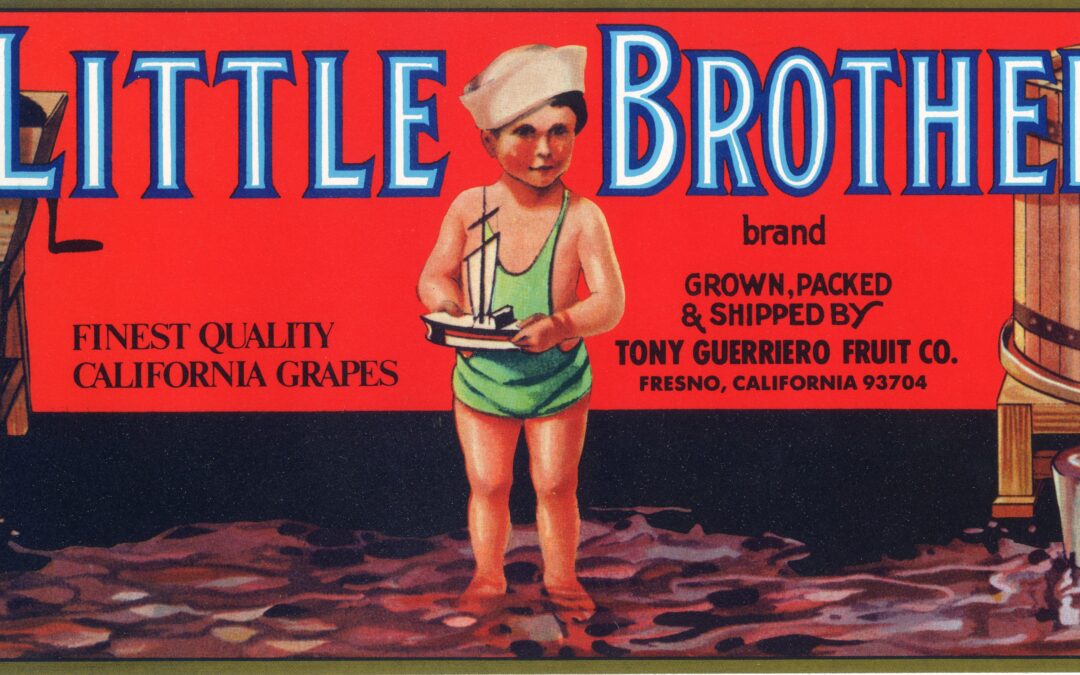 Little Brother-1