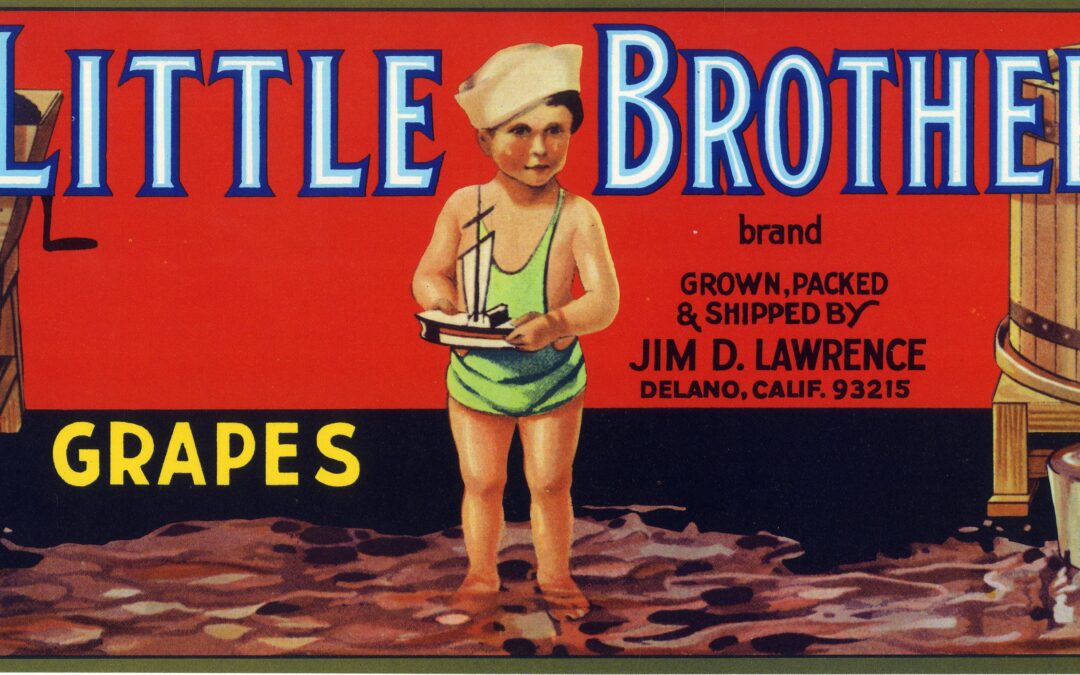 Little Brother-2