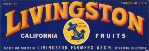Livingston