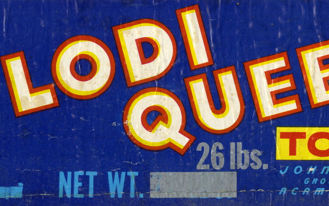 Lodi Queen-1