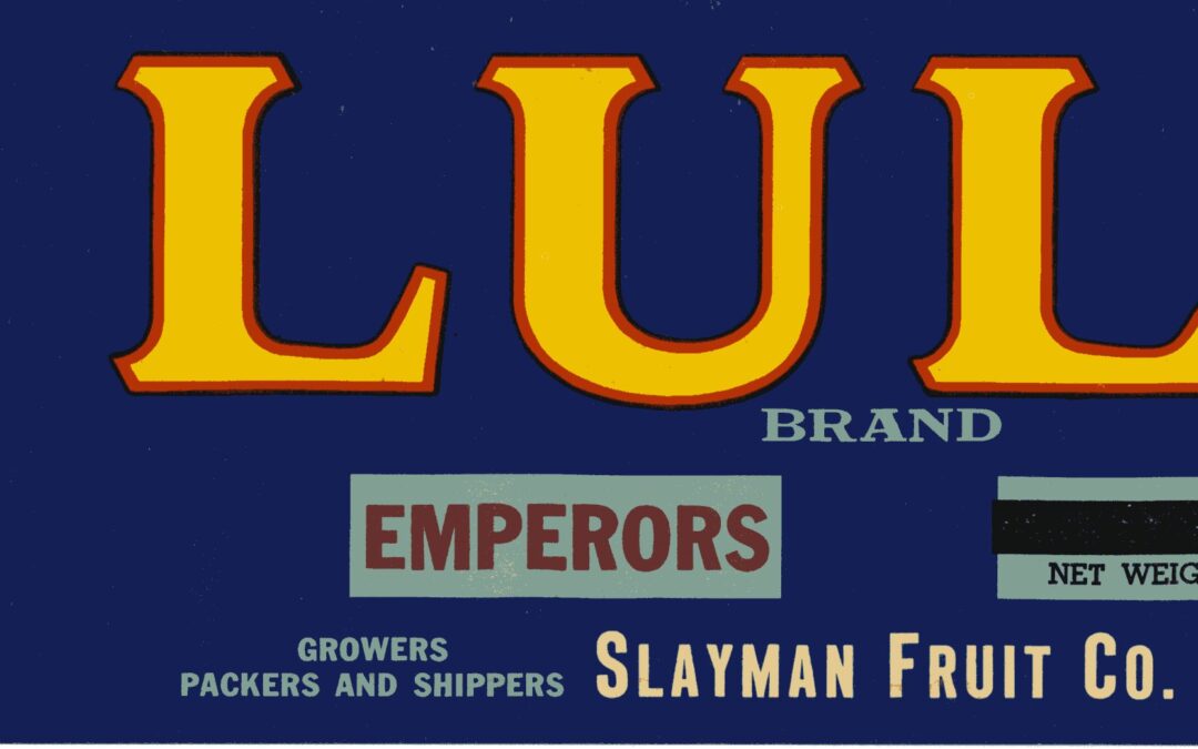 Lulu-1