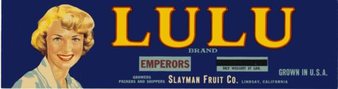 Lulu