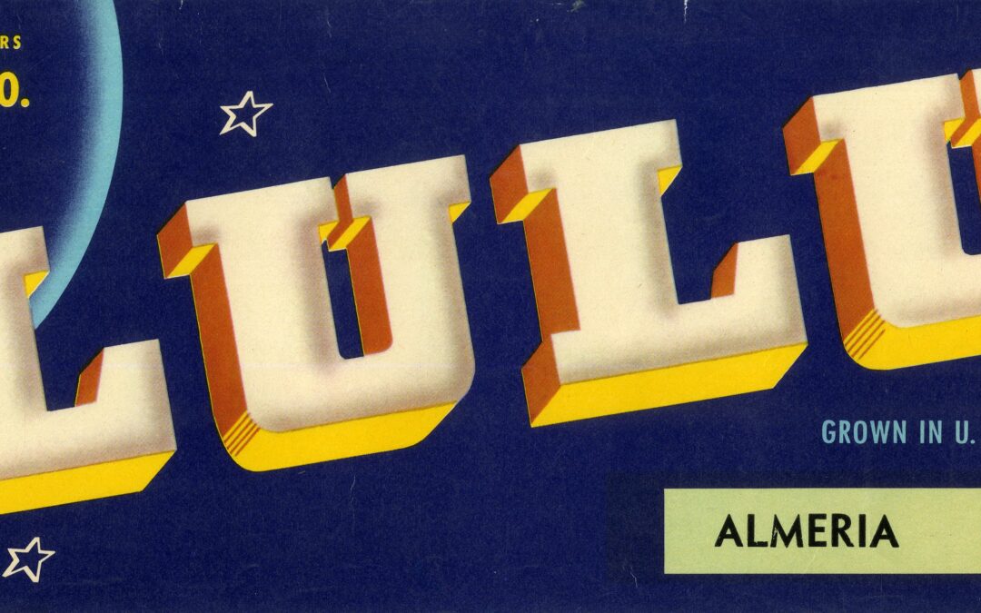 Lulu-3