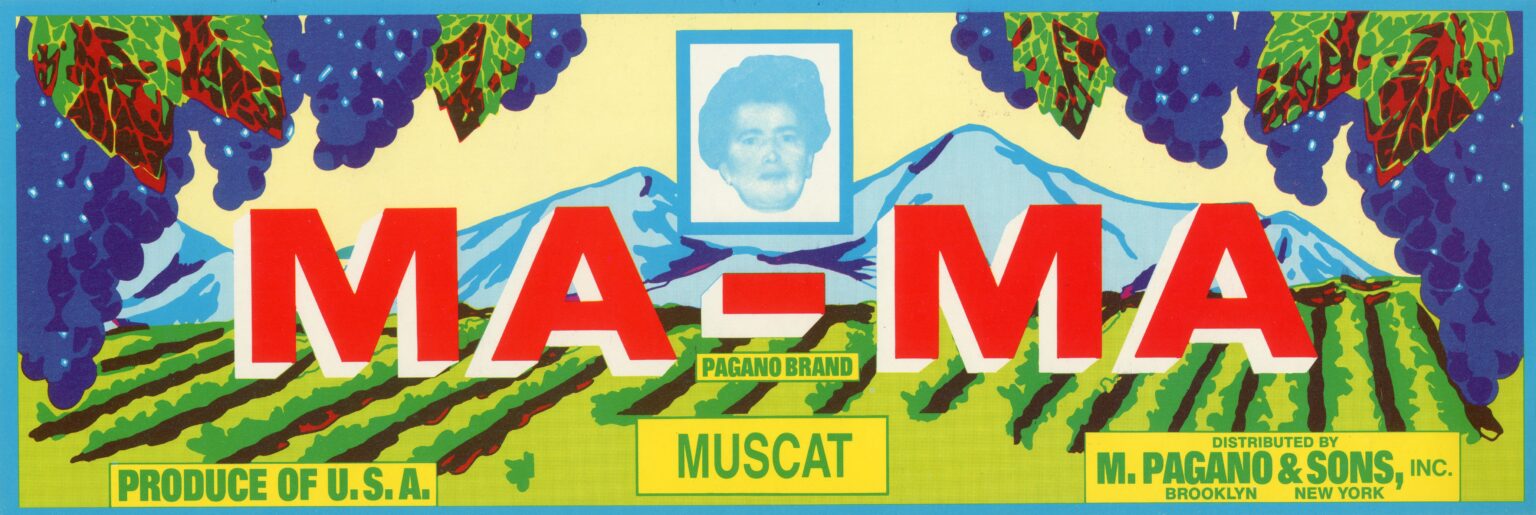 MA MA