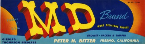 MD