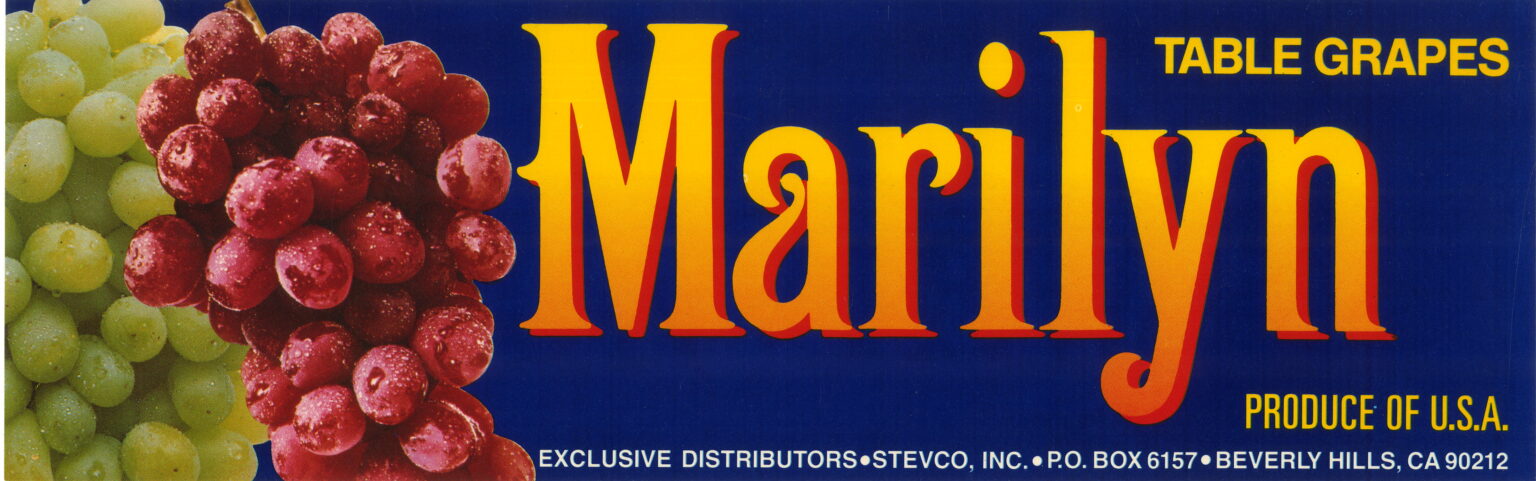 Marilyn