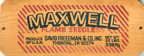 Maxwell