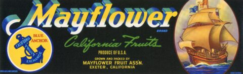 Mayflower