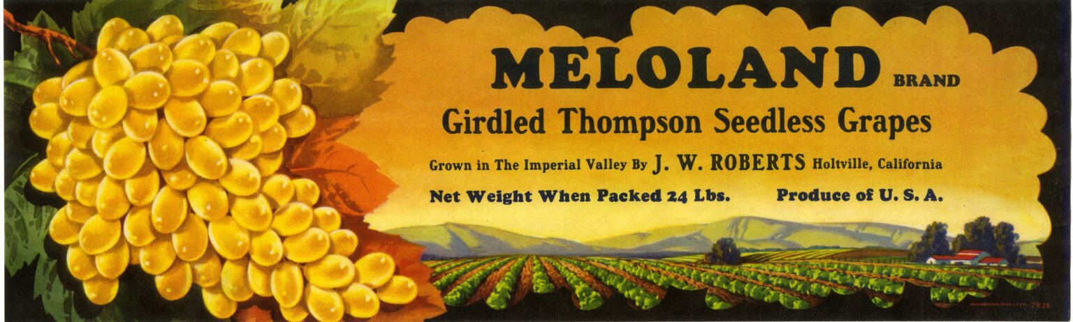 Meloland Meloland