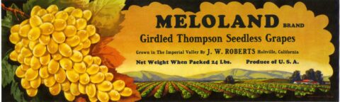 Meloland