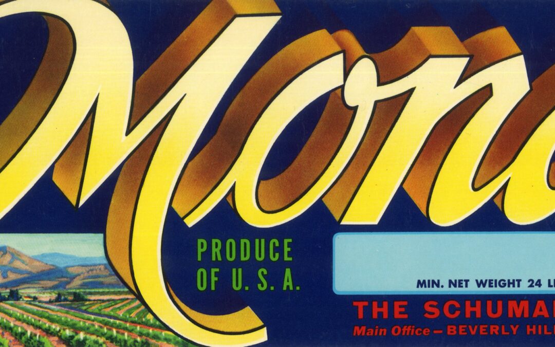 Mona-2