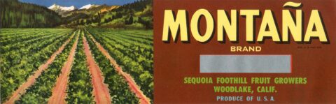 Montana