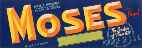 Moses