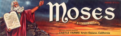 Moses