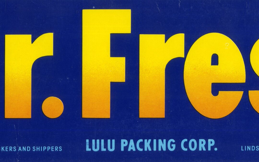 Mr. Fresh-2