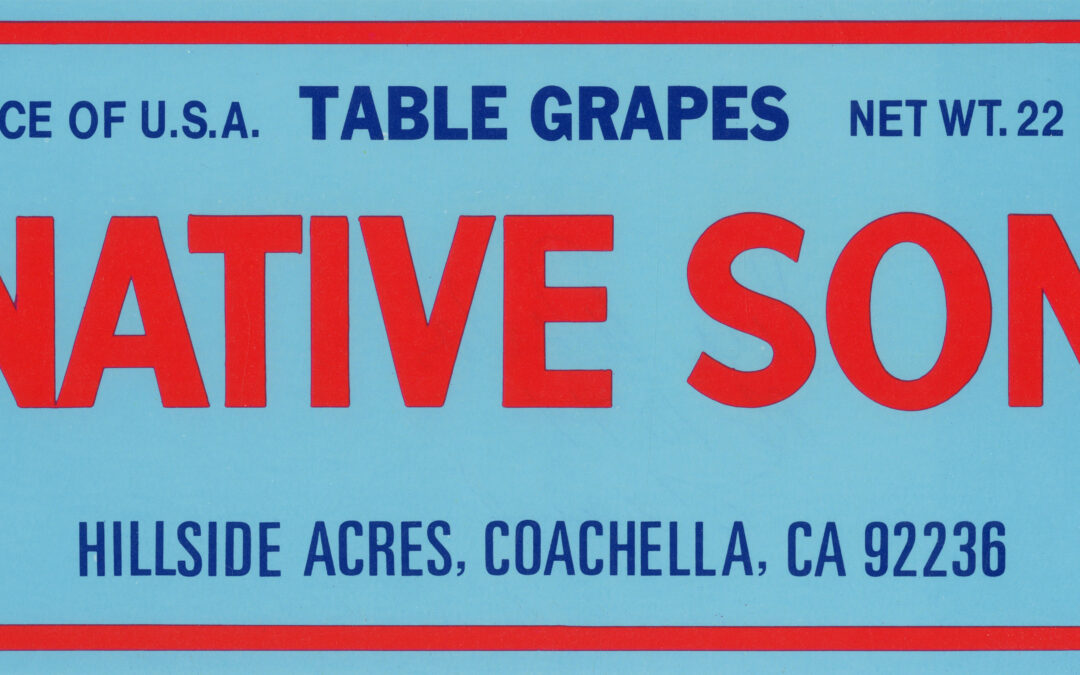 Native Son-4