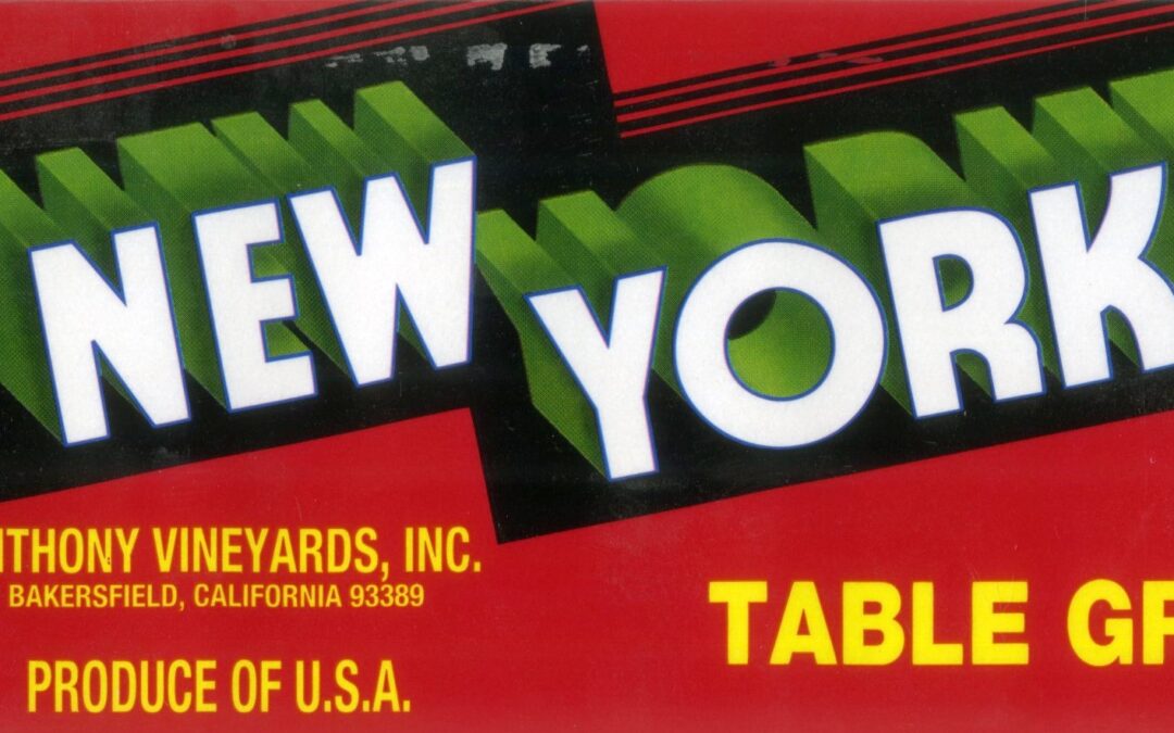 New Yorker-3