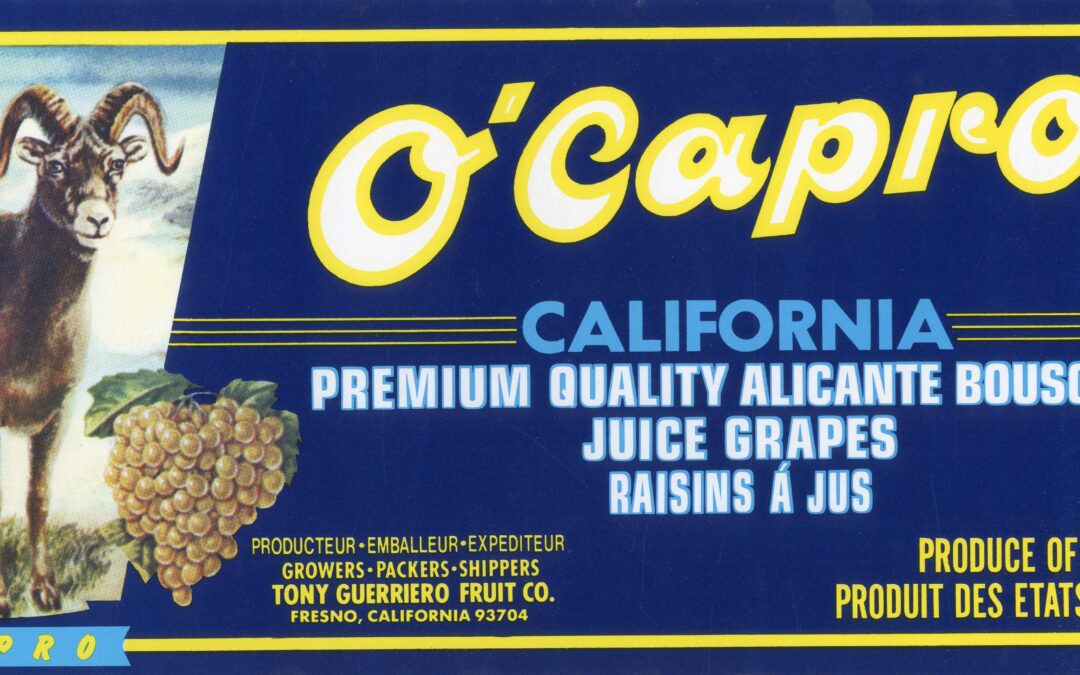 O’Capro-1