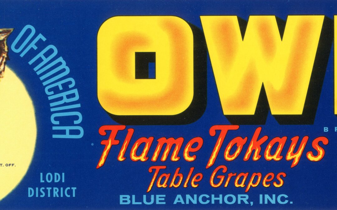 Owl-1