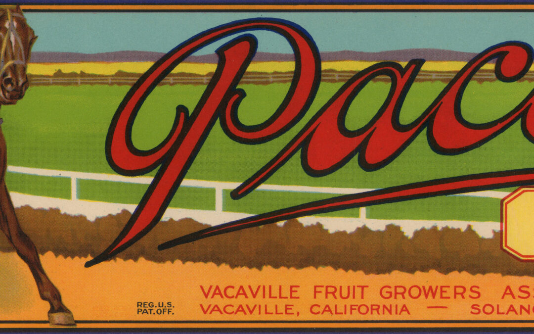 Pacer