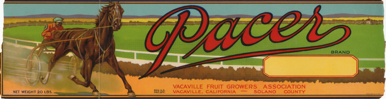 Pacer