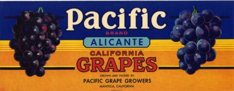 Pacific