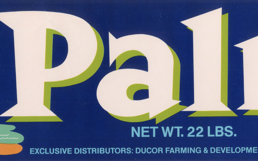 Palm
