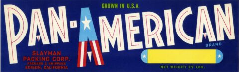 Pan American
