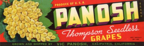 Panosh