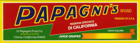 Papagni s