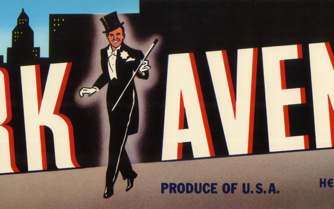 Park Avenue-2