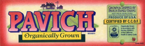 Pavich